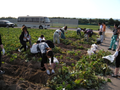 f:id:kenren-iskw:20090919154219j:image