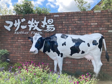 マザー牧場に関する雑学！ - 面白雑学・豆知識ブログ！