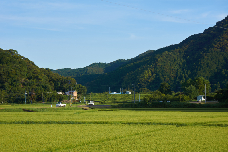 f:id:kenrun:20170807201614j:plain