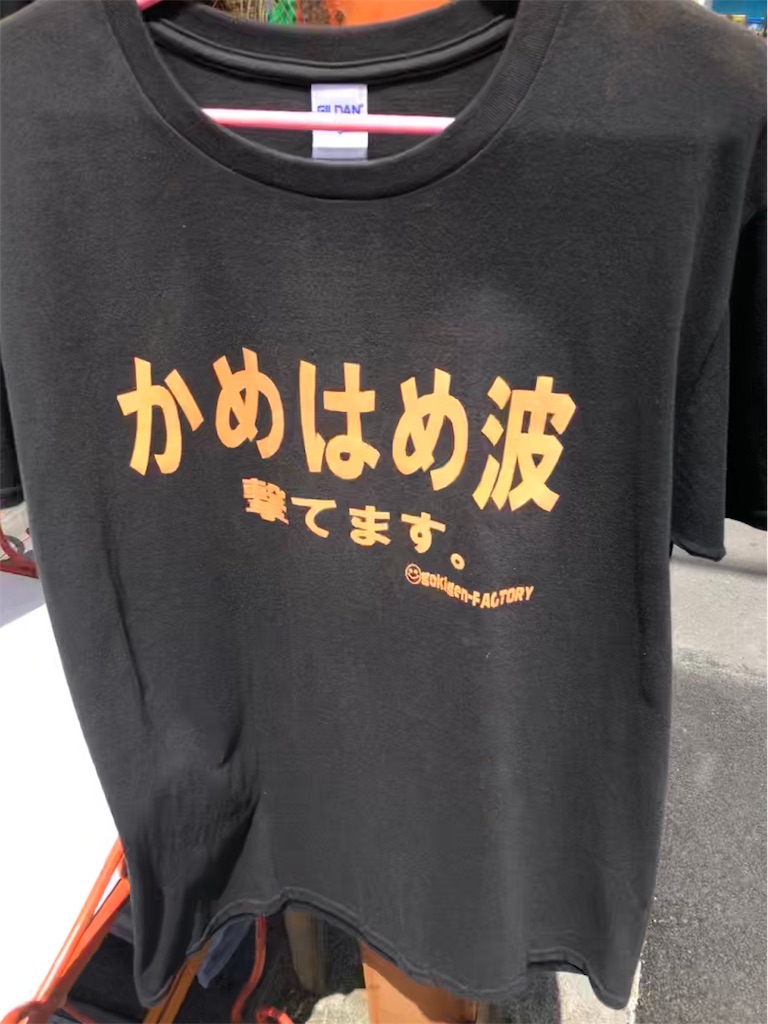 f:id:kensdream1:20190520194725j:image