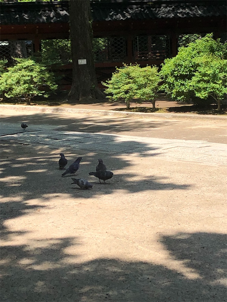 f:id:kensdream1:20190614005044j:image