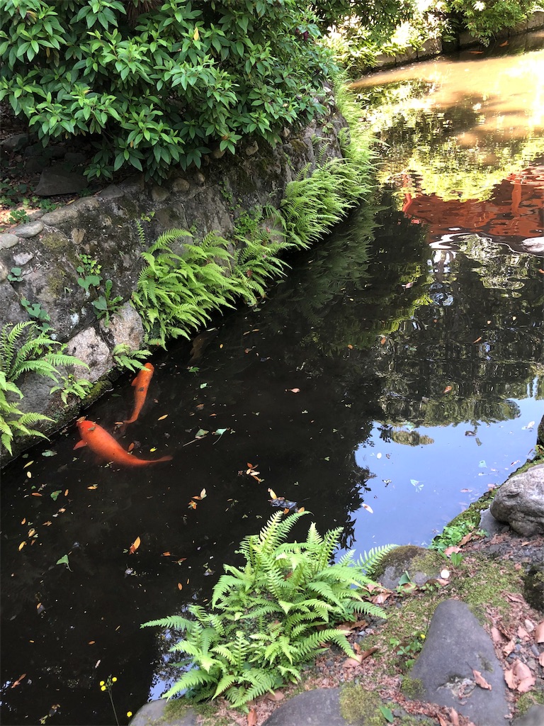 f:id:kensdream1:20190614005100j:image