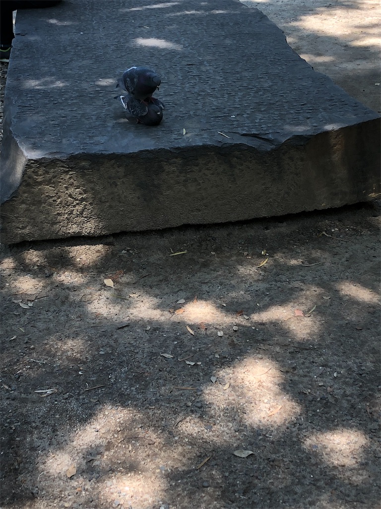 f:id:kensdream1:20190614103322j:image