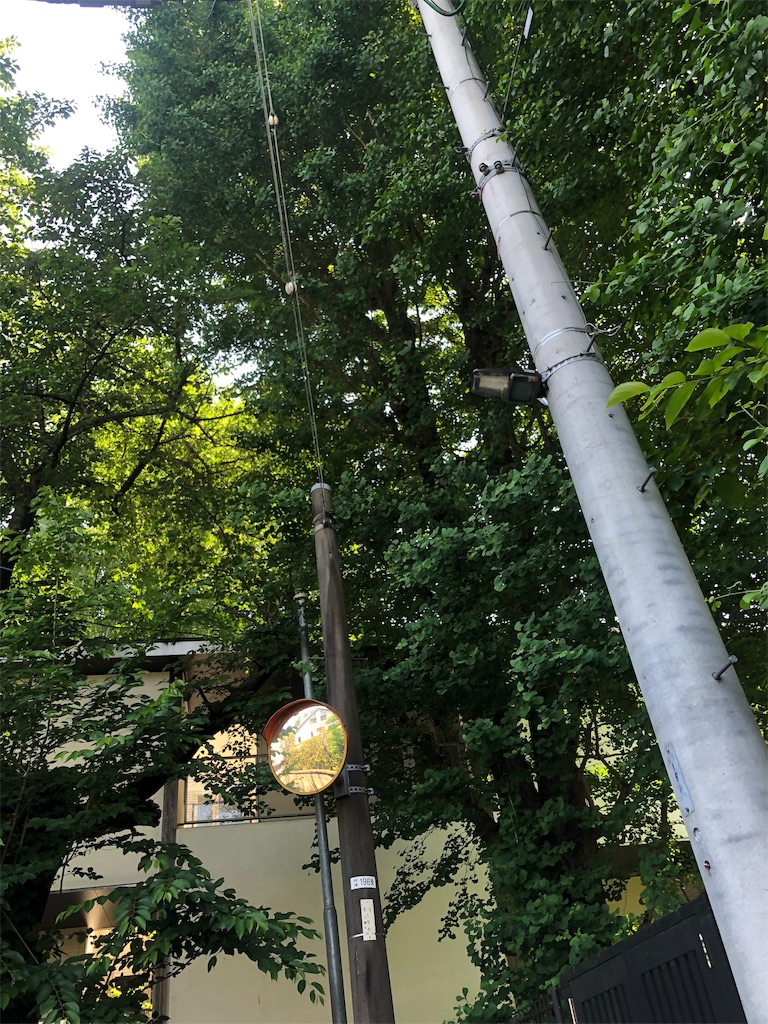 f:id:kensdream1:20190615154227j:image
