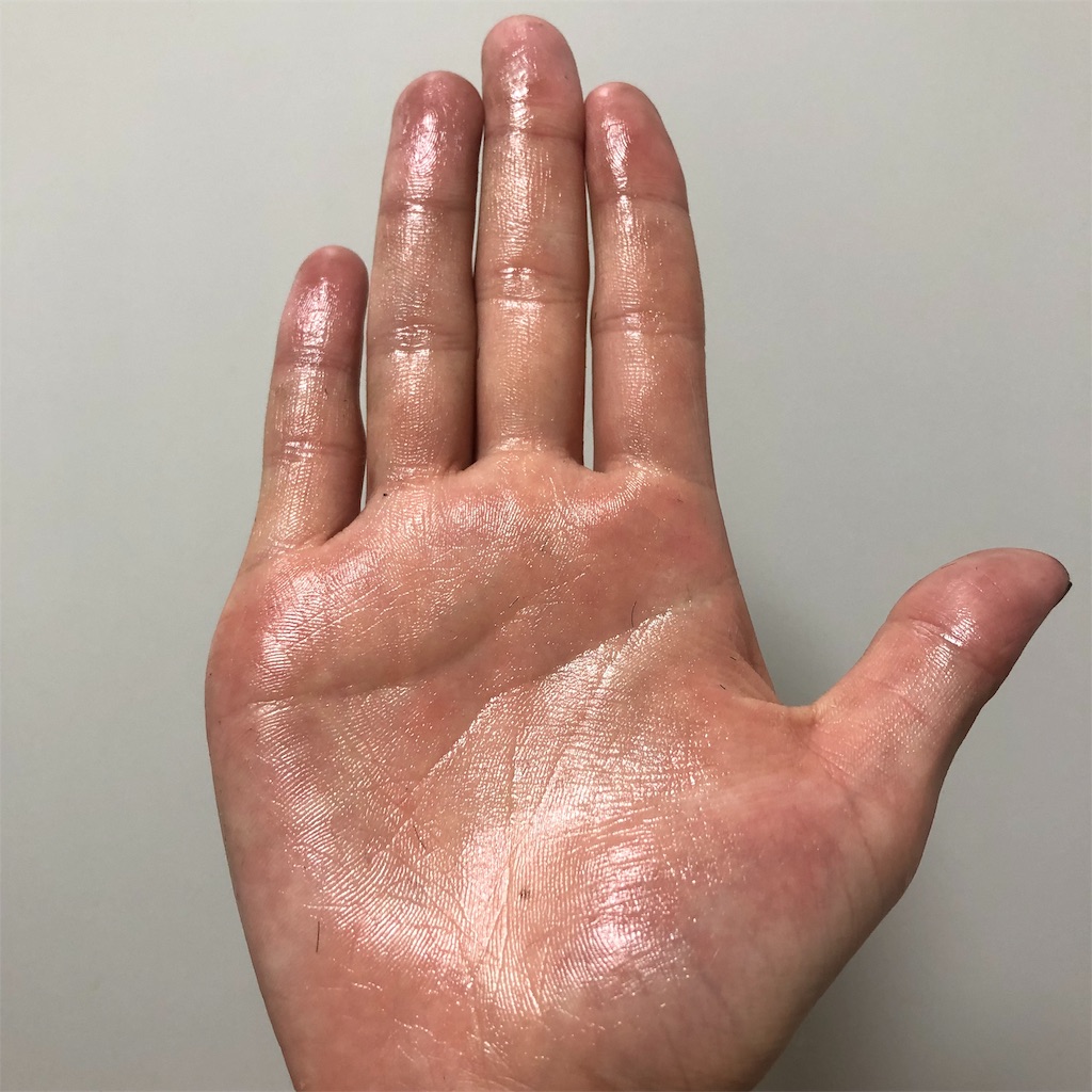 f:id:kensdream1:20190818132029j:image