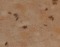 f:id:kensetu:20180715230356j:image:small