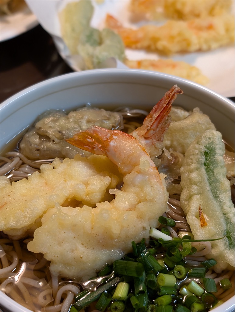 f:id:kenshi2009:20241231184116j:image