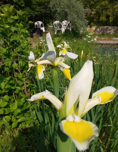 f:id:kenshin0116:20250515185045j:image