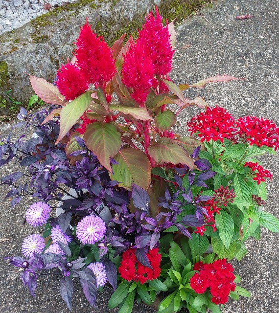 f:id:kenshin0116:20250926155302j:image