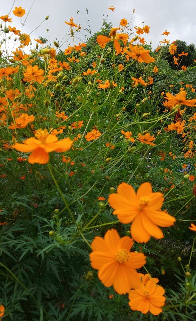 f:id:kenshin0116:20250929132452j:image