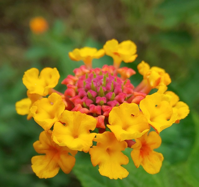 f:id:kenshin0116:20250929132629j:image