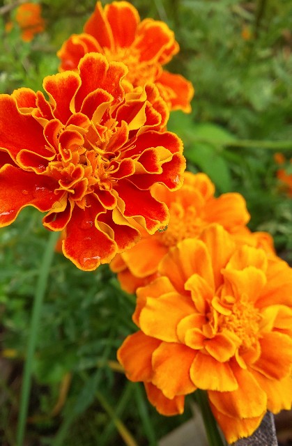 f:id:kenshin0116:20250929132639j:image