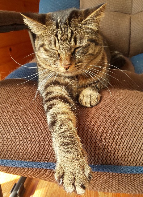 f:id:kenshin0116:20251114130222j:image