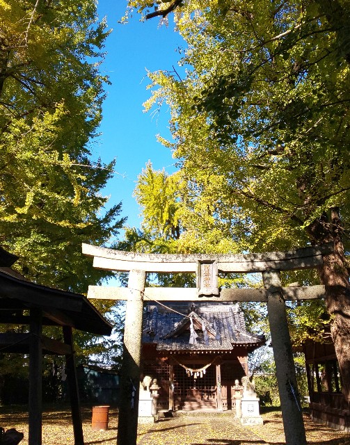 f:id:kenshin0116:20251122131731j:image