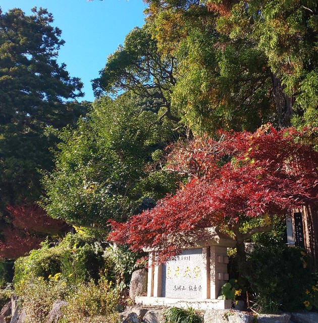 f:id:kenshin0116:20251123171903j:image