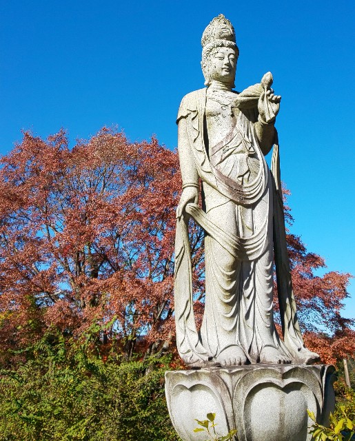 f:id:kenshin0116:20251123171943j:image