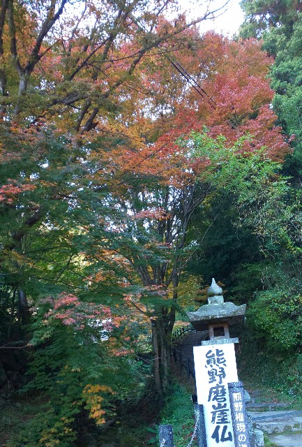 f:id:kenshin0116:20251123185625j:image