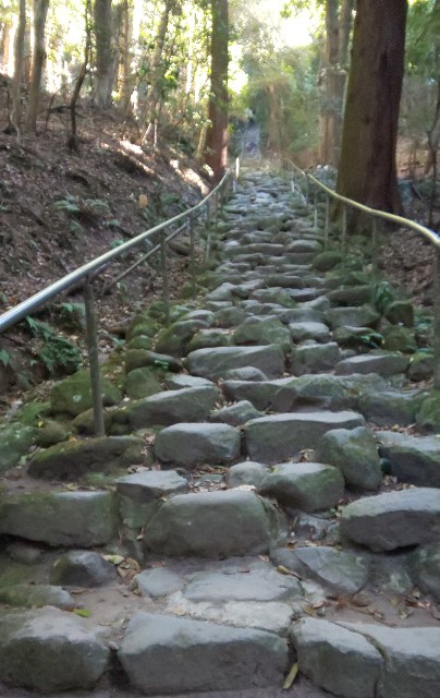 f:id:kenshin0116:20251123185855j:image