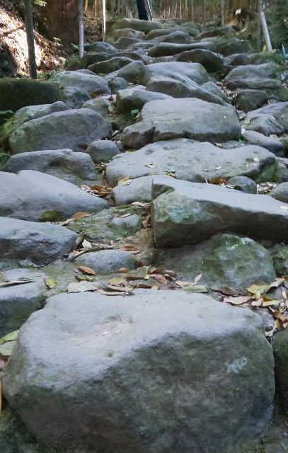 f:id:kenshin0116:20251123185920j:image