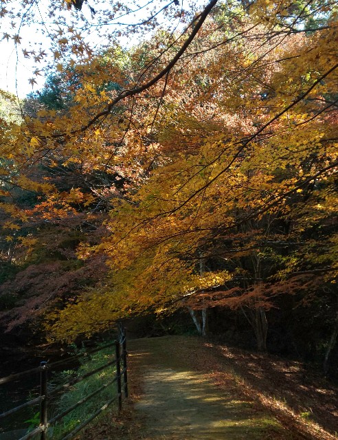 f:id:kenshin0116:20251130125559j:image