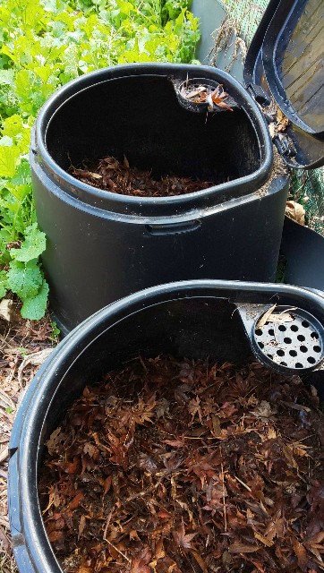 f:id:kenshin0116:20260104131148j:image