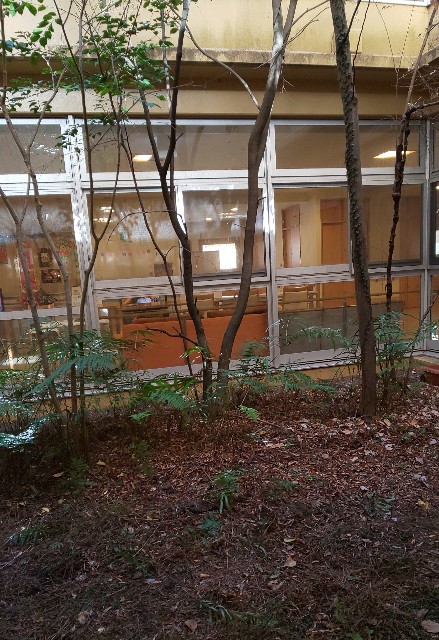 f:id:kenshin0116:20260108105454j:image