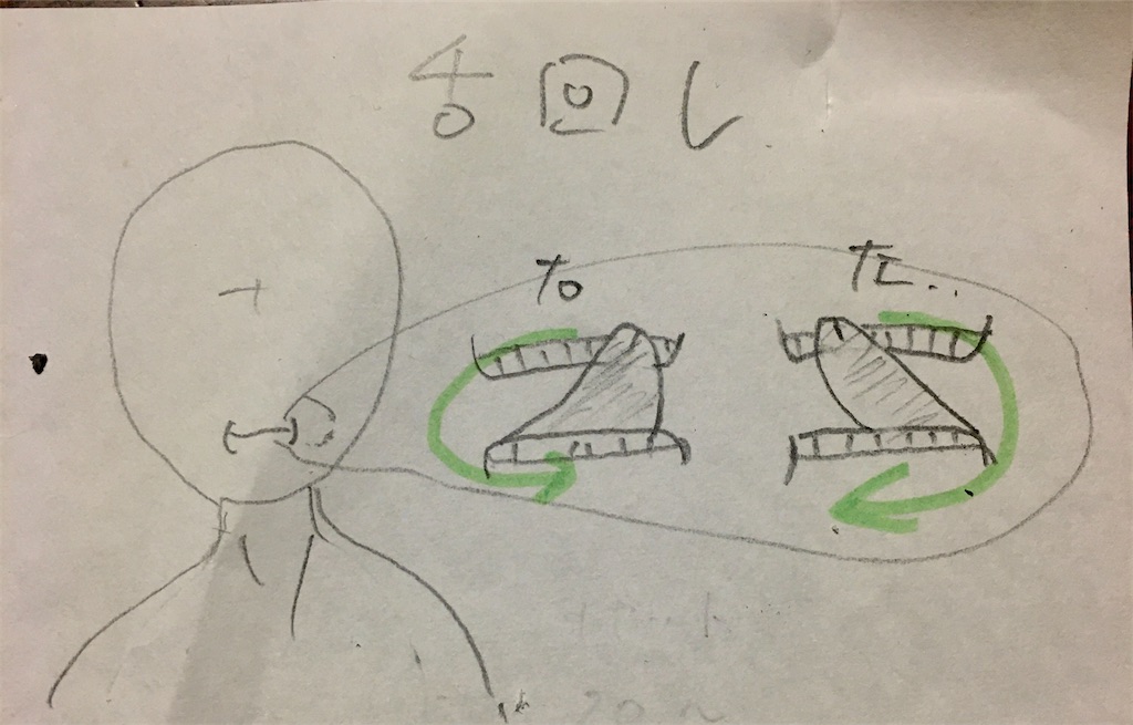舌回しの正しい運動方法 適切なセット回数もご紹介 やりすぎはng ケンシロォウのきっと役に立つブログ 舌回しの正しい運動方法 適切なセット回数もご紹介 やりすぎはng ケンシロォウのきっと役に立つブログ
