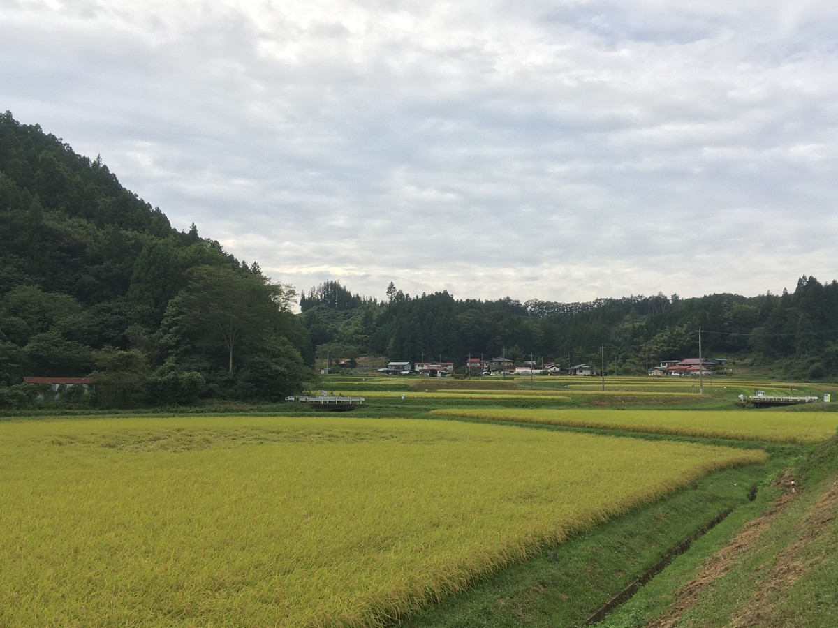 f:id:kensuke1108:20200920140620j:plain f:id:kensuke1108:20200920140620j:plain