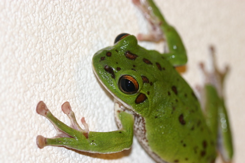 f:id:kensuke_nakata:20060807223218j:image f:id:kensuke_nakata:20060807223218j:image