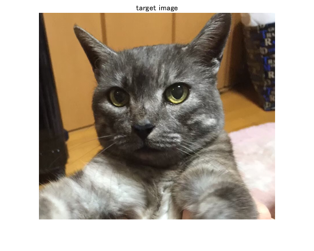 f:id:kentaPt:20211206222447p:plain