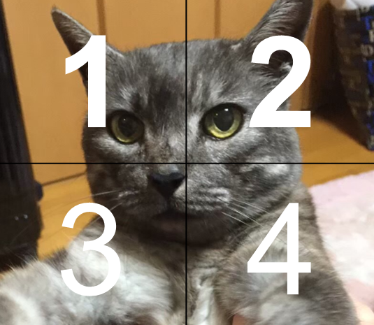 f:id:kentaPt:20211206222619p:plain