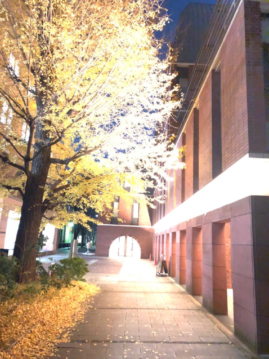 f:id:kentaPt:20211225120329p:plain