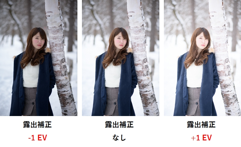 f:id:kentaPt:20211225120452p:plain
