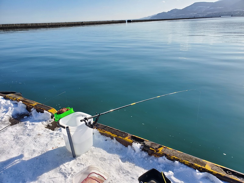 f:id:kentanaaa:20191122212715j:plain