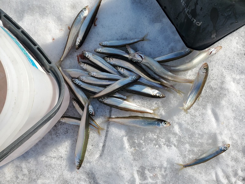 f:id:kentanaaa:20191122212725j:plain