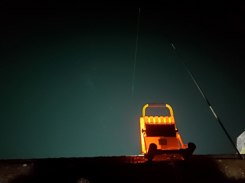 f:id:kentanaaa:20191202023847j:plain