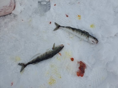 f:id:kentanaaa:20201222201000j:plain