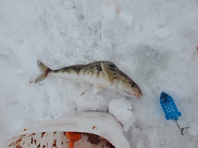 f:id:kentanaaa:20201222201328j:plain