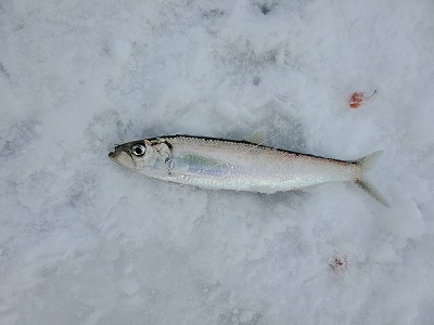 f:id:kentanaaa:20201222201612j:plain