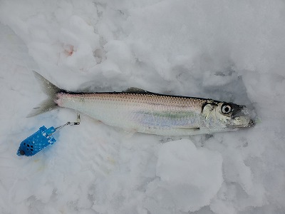 f:id:kentanaaa:20201222202001j:plain