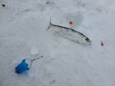 f:id:kentanaaa:20201222202408j:plain