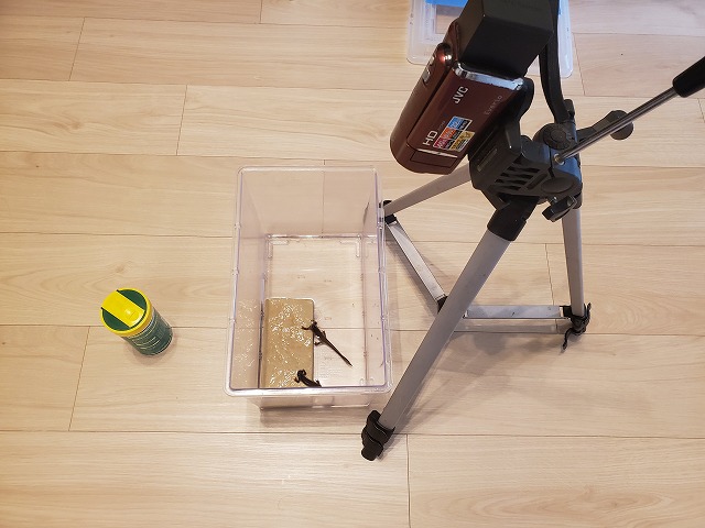 f:id:kentanaaa:20210202125336j:plain