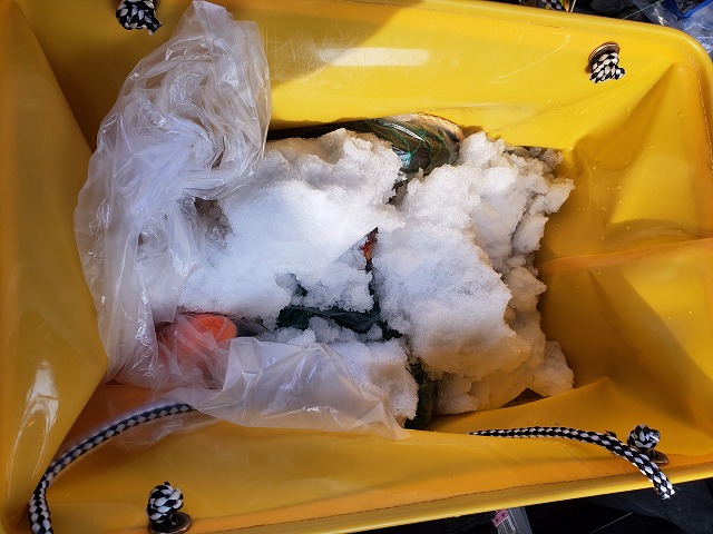 f:id:kentanaaa:20210214201030j:plain