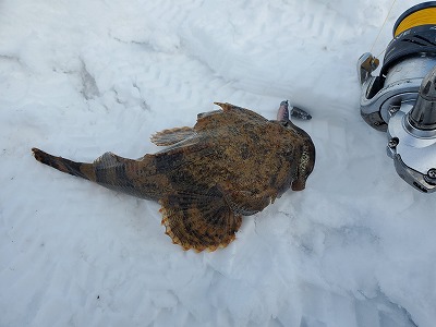 f:id:kentanaaa:20210228195833j:plain