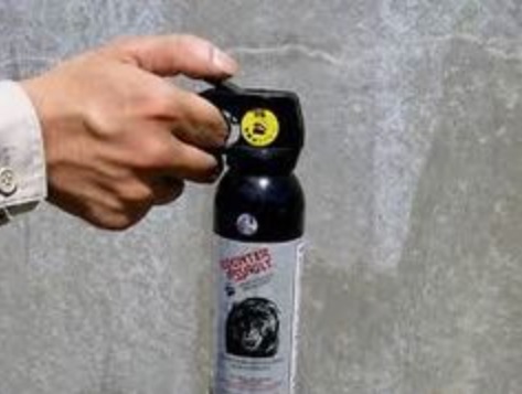 f:id:kentanaaa:20210603042932j:plain