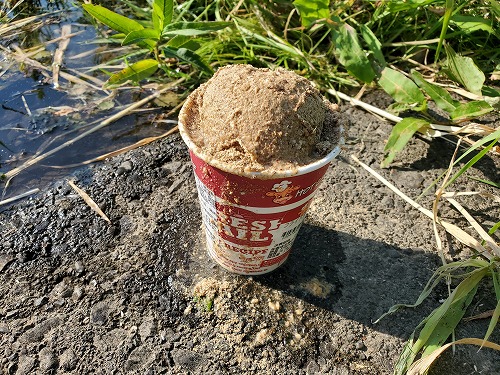 f:id:kentanaaa:20210626220133j:plain