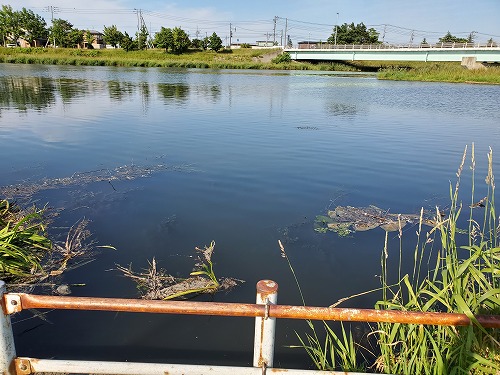 f:id:kentanaaa:20210626221035j:plain