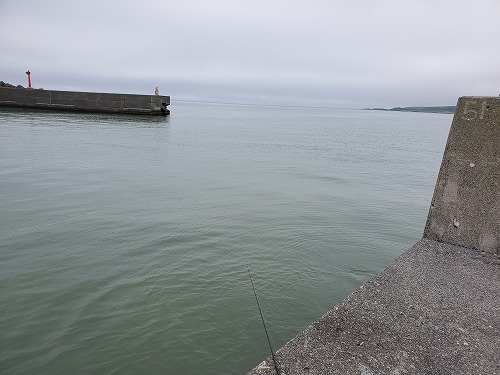 f:id:kentanaaa:20210628233530j:plain