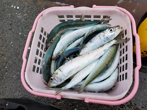 f:id:kentanaaa:20210628235113j:plain