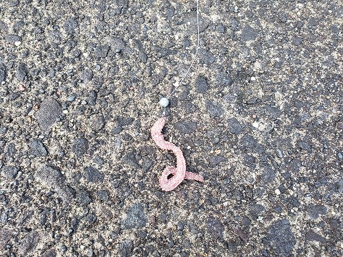 f:id:kentanaaa:20210707215241j:plain